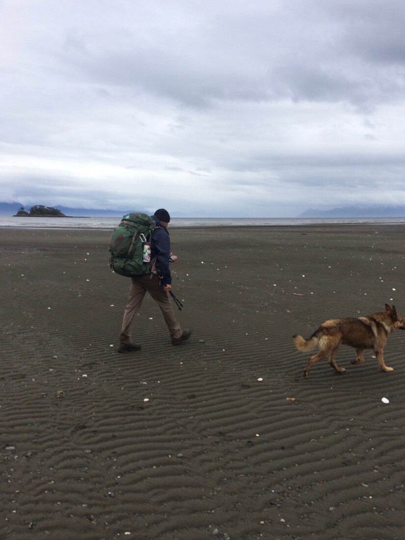 Man and a dog walking on a beach