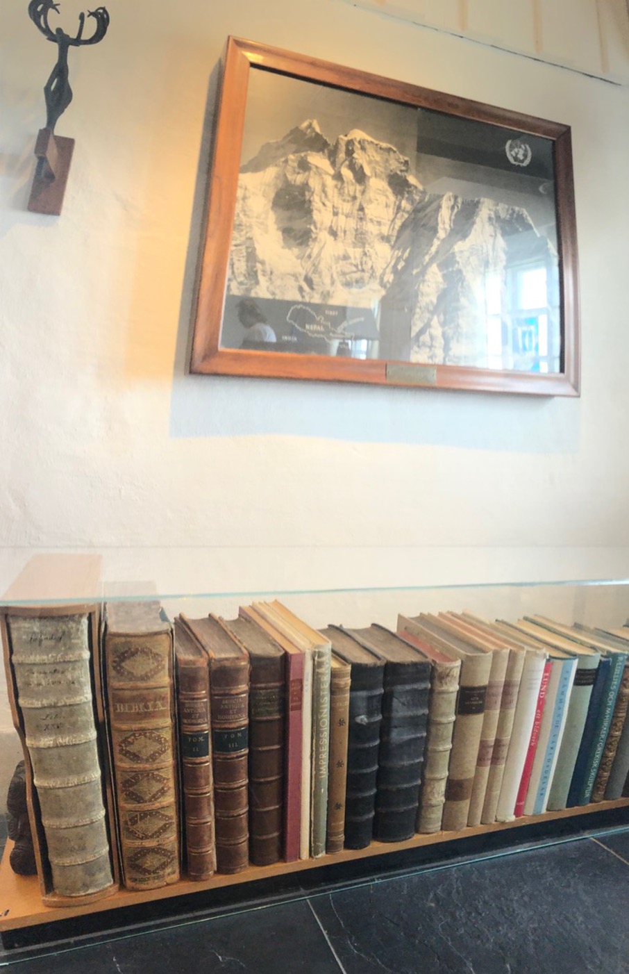 A row of antiquarian books on the ground