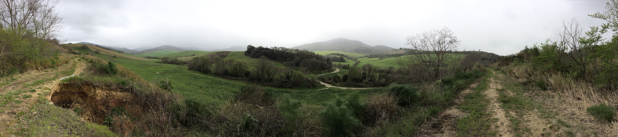 Clouded landscape with dirt roads