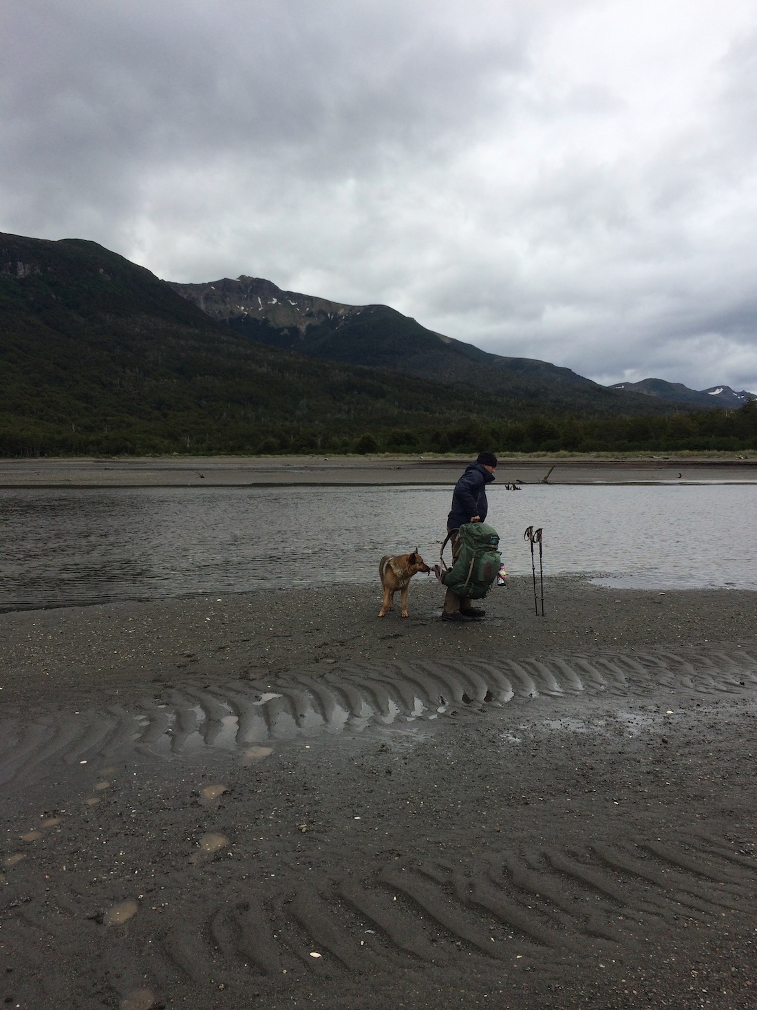Photograph of a hiker and a dog next to a river